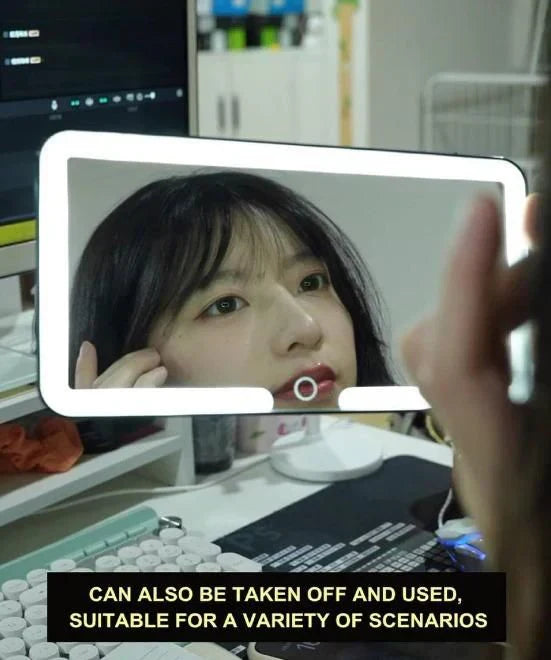 Passenger Princess Mirror